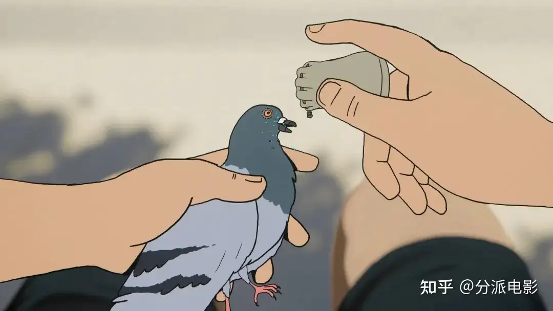 《常见副作用》开年神作,100%好评凭什么?