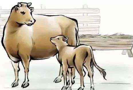 催人泪下，为之震撼的三个真实故事.....