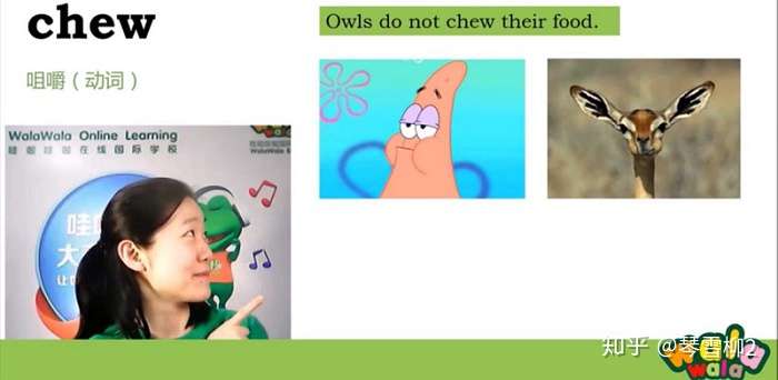 Walawala分级精读架起中国孩子原版阅读的桥梁 知乎