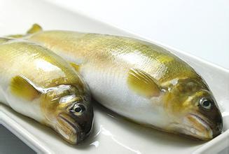 池沼公鱼七,胡瓜鱼目不赘述,我也不懂黄鳝六,合鳃目烤鳗鱼饭,其他就不