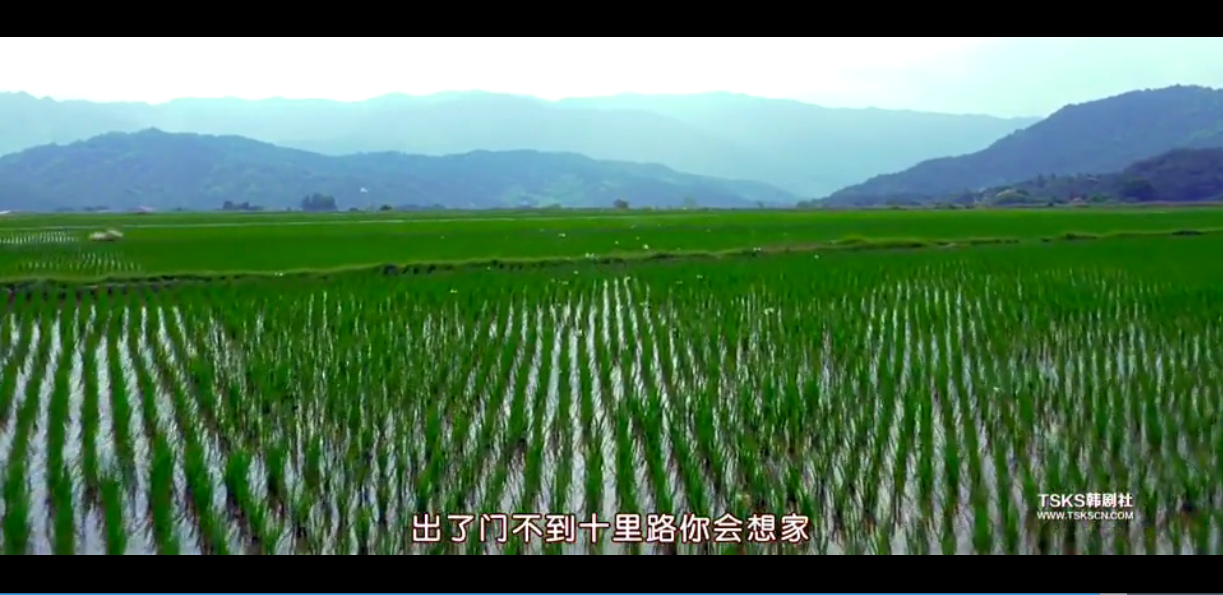 如何看待韩国慰安妇题材电影《归乡\/鬼乡》? 