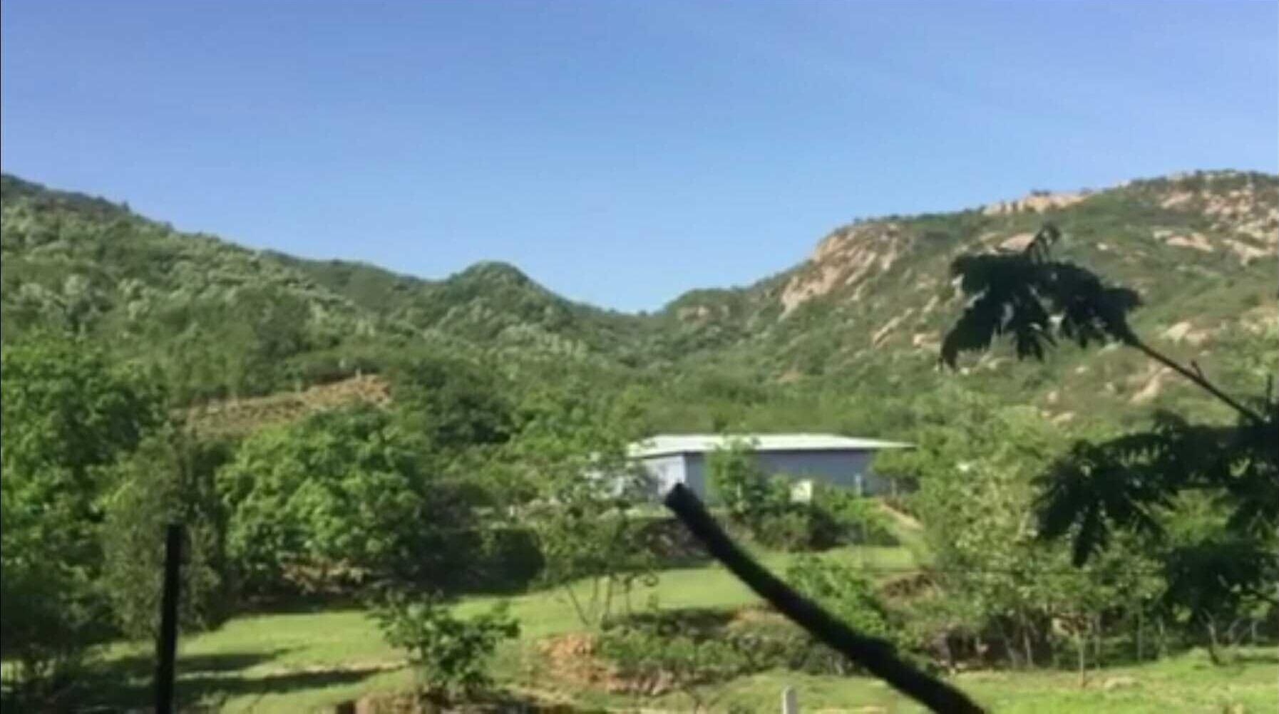 如何成为一名风水师,怎样入门,学习历程是怎样