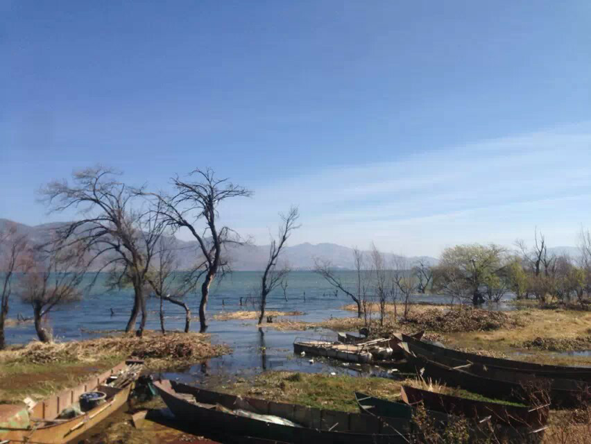 大理古城这边哪里住宿能领略到洱海的美景!请