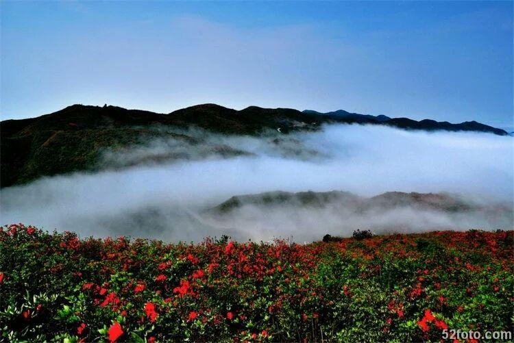 旅游景点推荐湖南境内 853f42ab61bfdaeb2b43d2d645076547_r.jpg