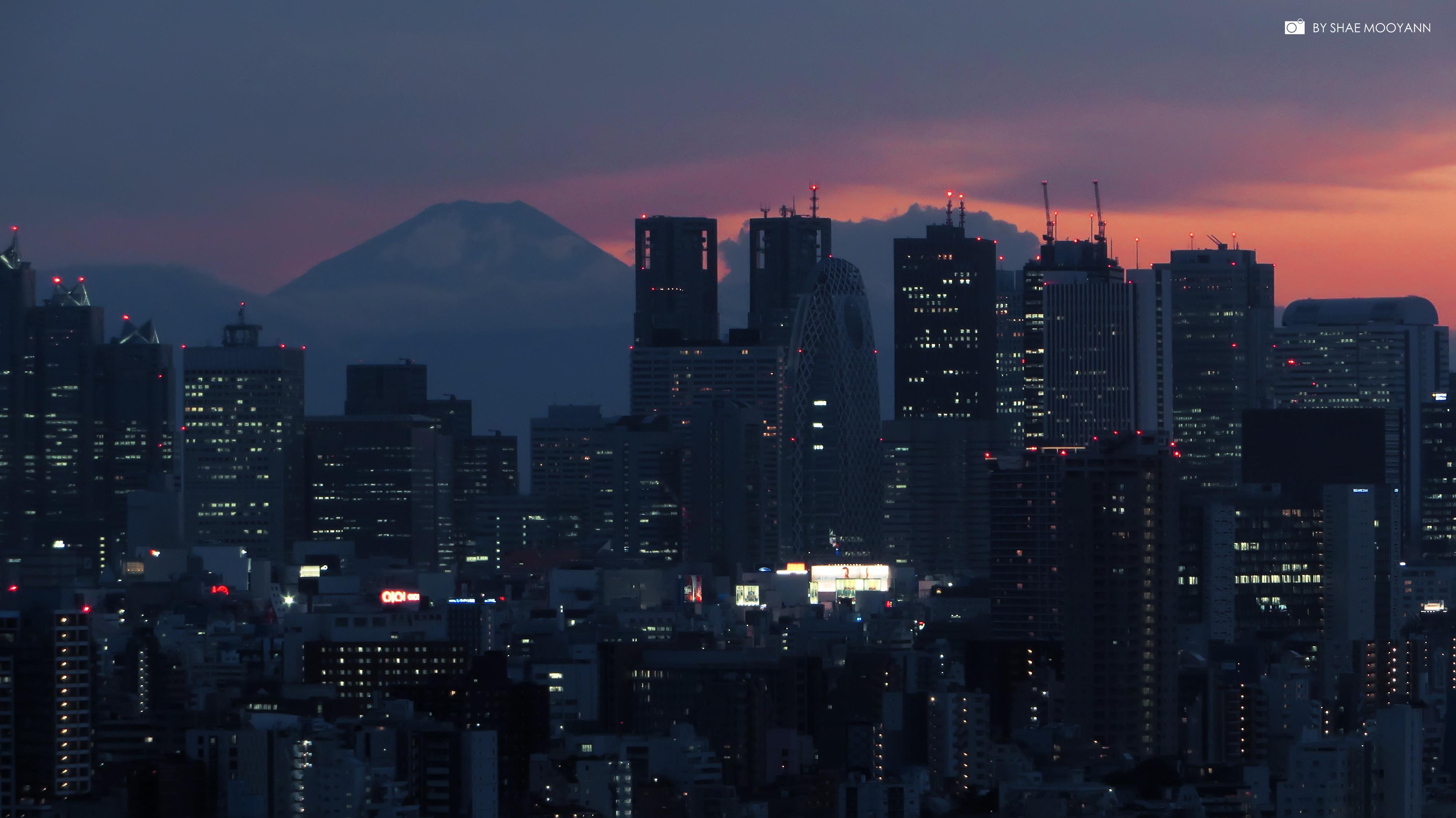 这个夏天最美的东京 - 知乎