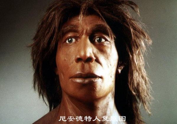 历史年鉴: 人类从猿到人的这几百万年! - 知乎
