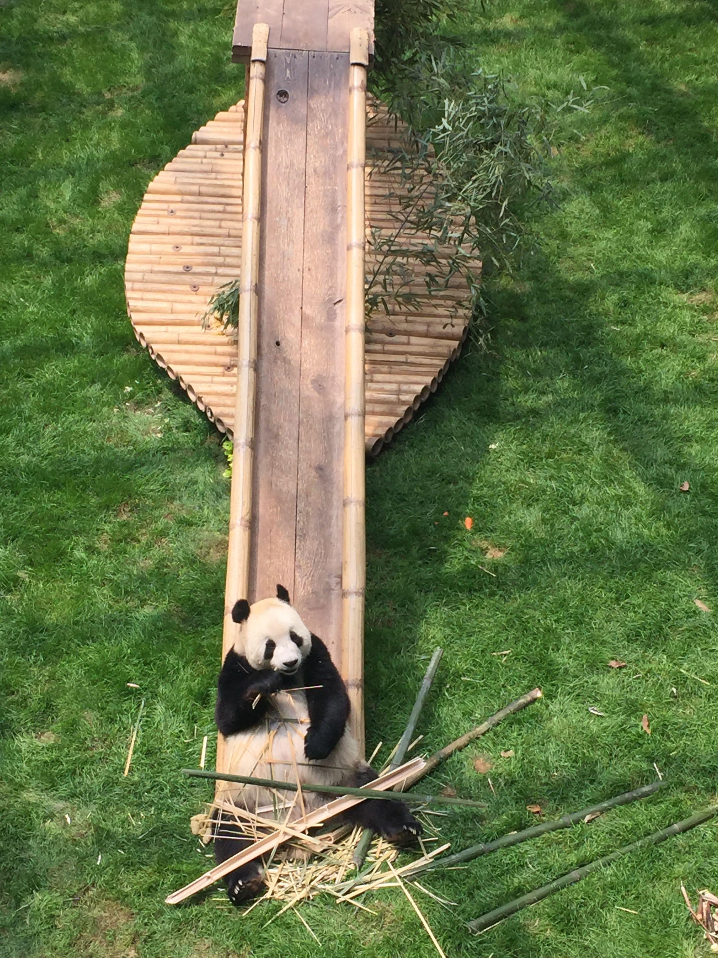 男方父母全款购置,全款装修家电家具并登记在