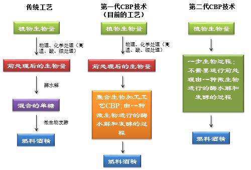 工藝cbp技術(如圖1),將酶處理和發酵進行整合,利用單一微生物或混合菌