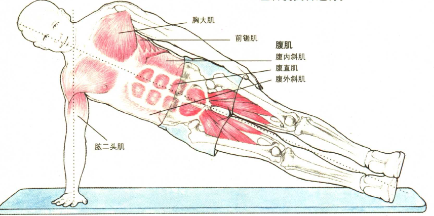 8bec047855c06d836b8d651415140cb7_r.jpg