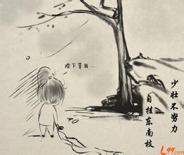 中考在即,如中考之跃龙门、提分宝典等,这些所