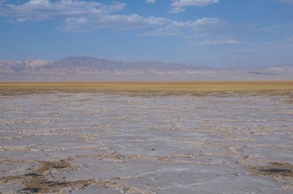 188302e) 硬硬的盐壳,走在上面硌脚.