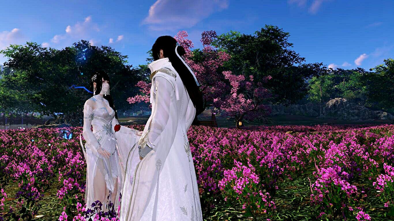 《天涯明月刀 OL》为什么画面顶尖,玩法却如此