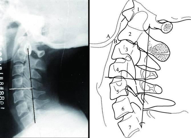 我是一名医学影像技术的专科生,可是现在工作的地方让