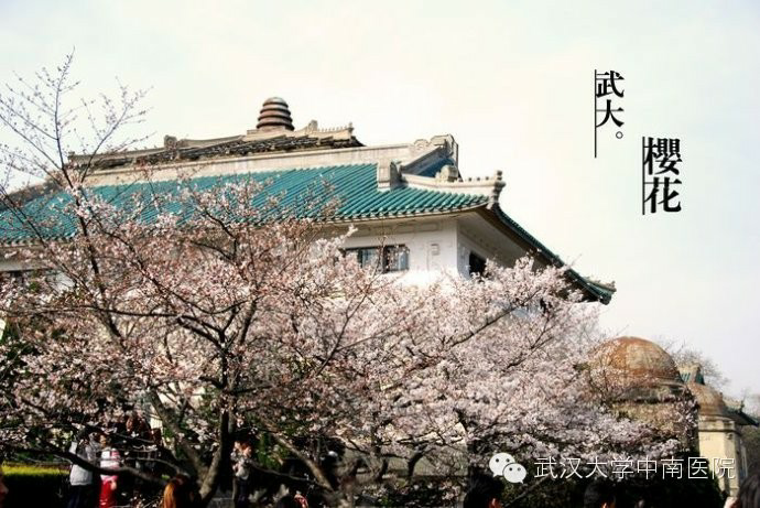 怎么活跃一个研究生群?求解? - 博士 - 知乎