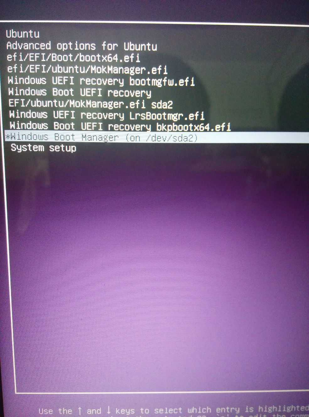 如何在Ubuntu下更改Windows boot manger的引