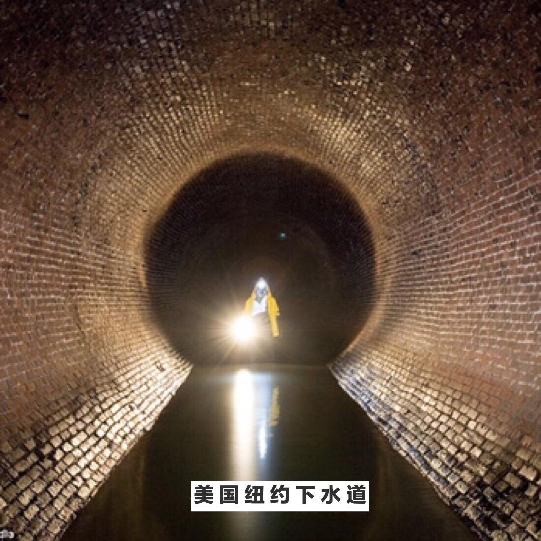 中国gdp面子工程_面子工程(2)