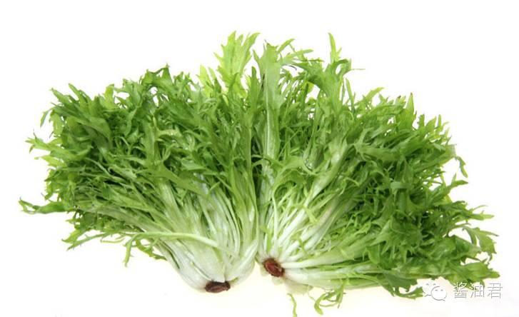 追寻神农足迹带你尝遍欧洲百草之菊苣