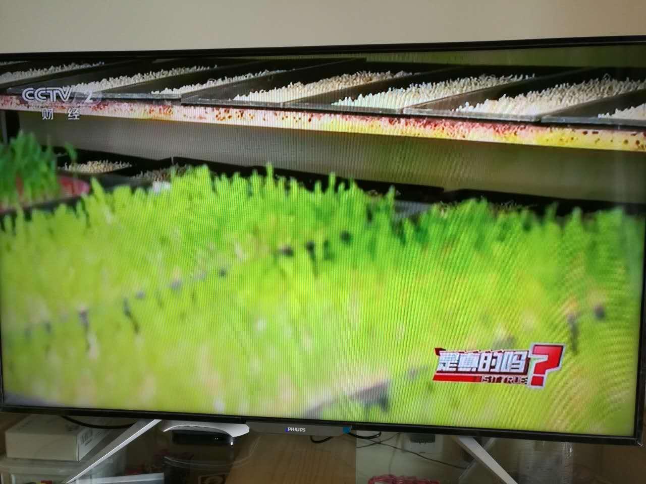 纸上种菜是真的吗?央视cctv2节目{是真的吗?}还