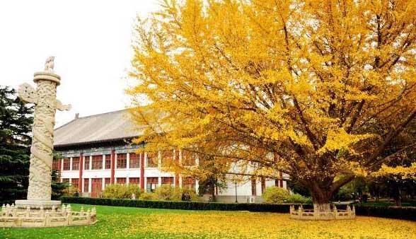 复旦浙大和清华北大差距真的很大么? - 大学教