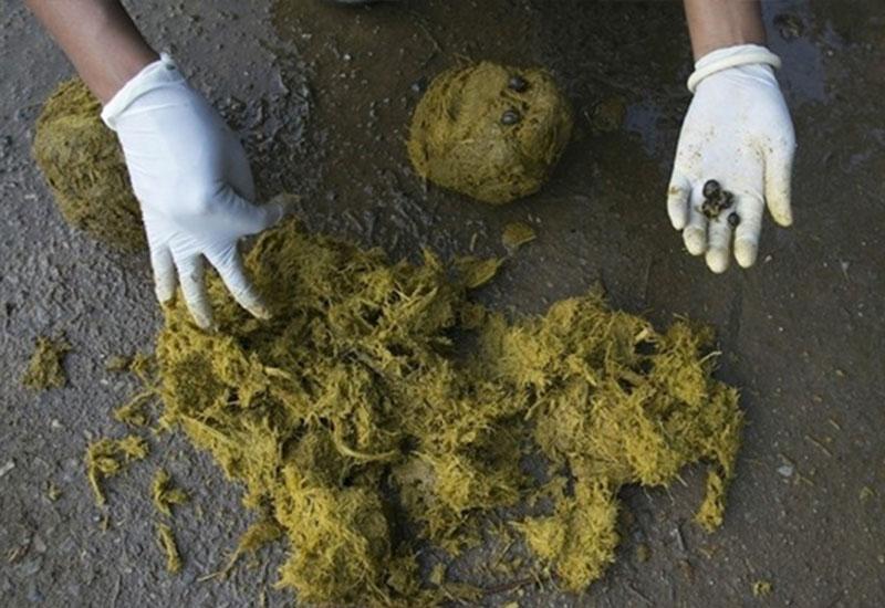 象屎咖啡的制作流程 知乎