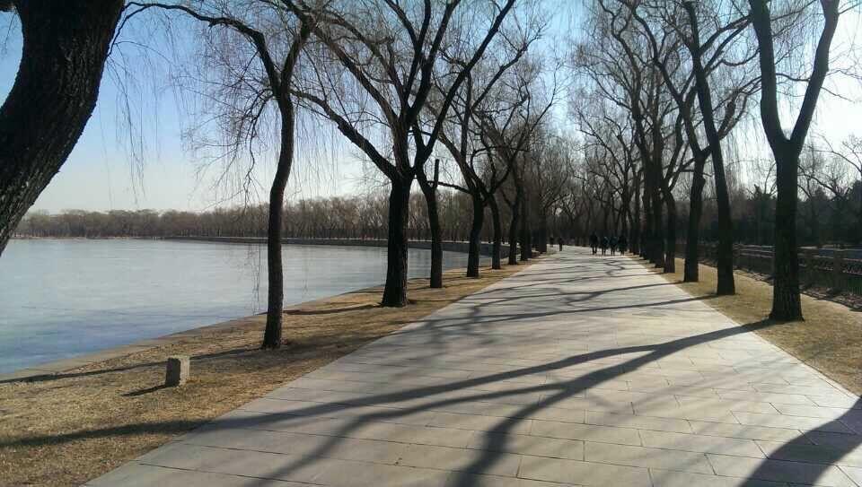 读研有用么?考研究竟有什么意义? - 匿名用户的