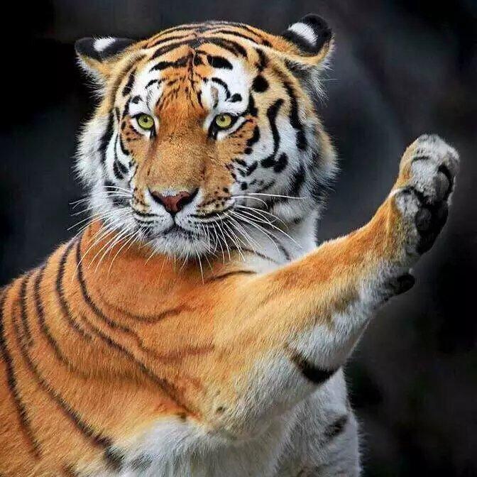 【高中生物】高考选修一和选修三哪个选修题好