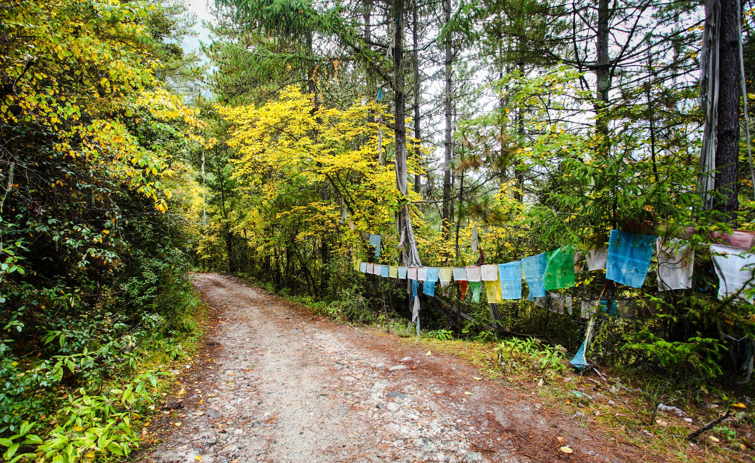 西藏除了拉萨、墨脱还有哪些地方值得一去? -