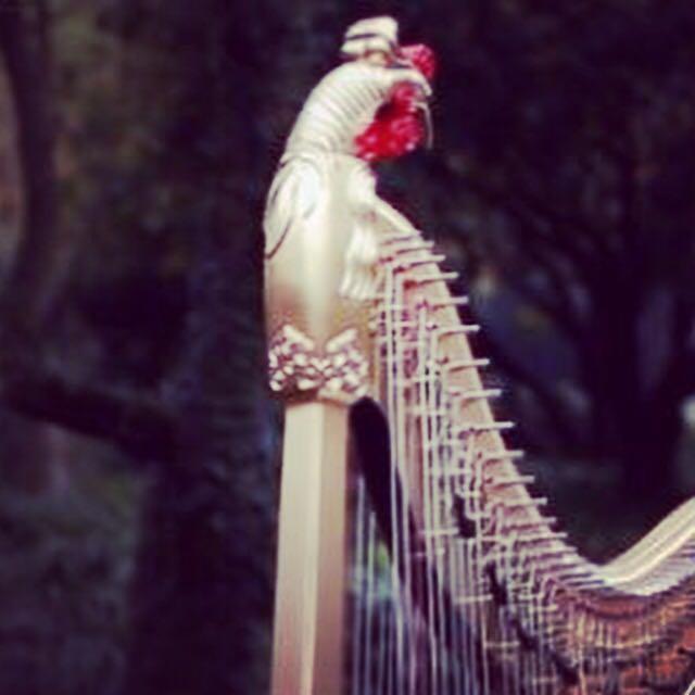 女生学什么乐器好? - 音乐 - 知乎