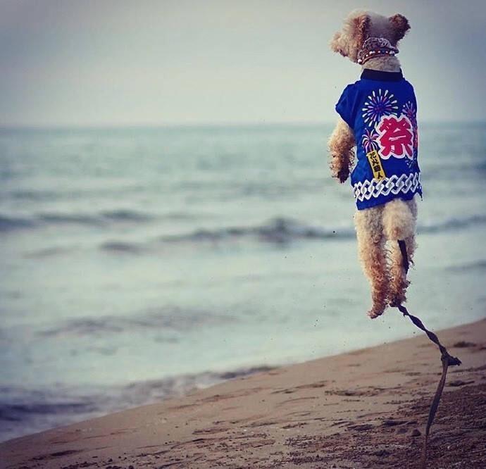 会计专业去日本留学? - 留学日本 - 知乎