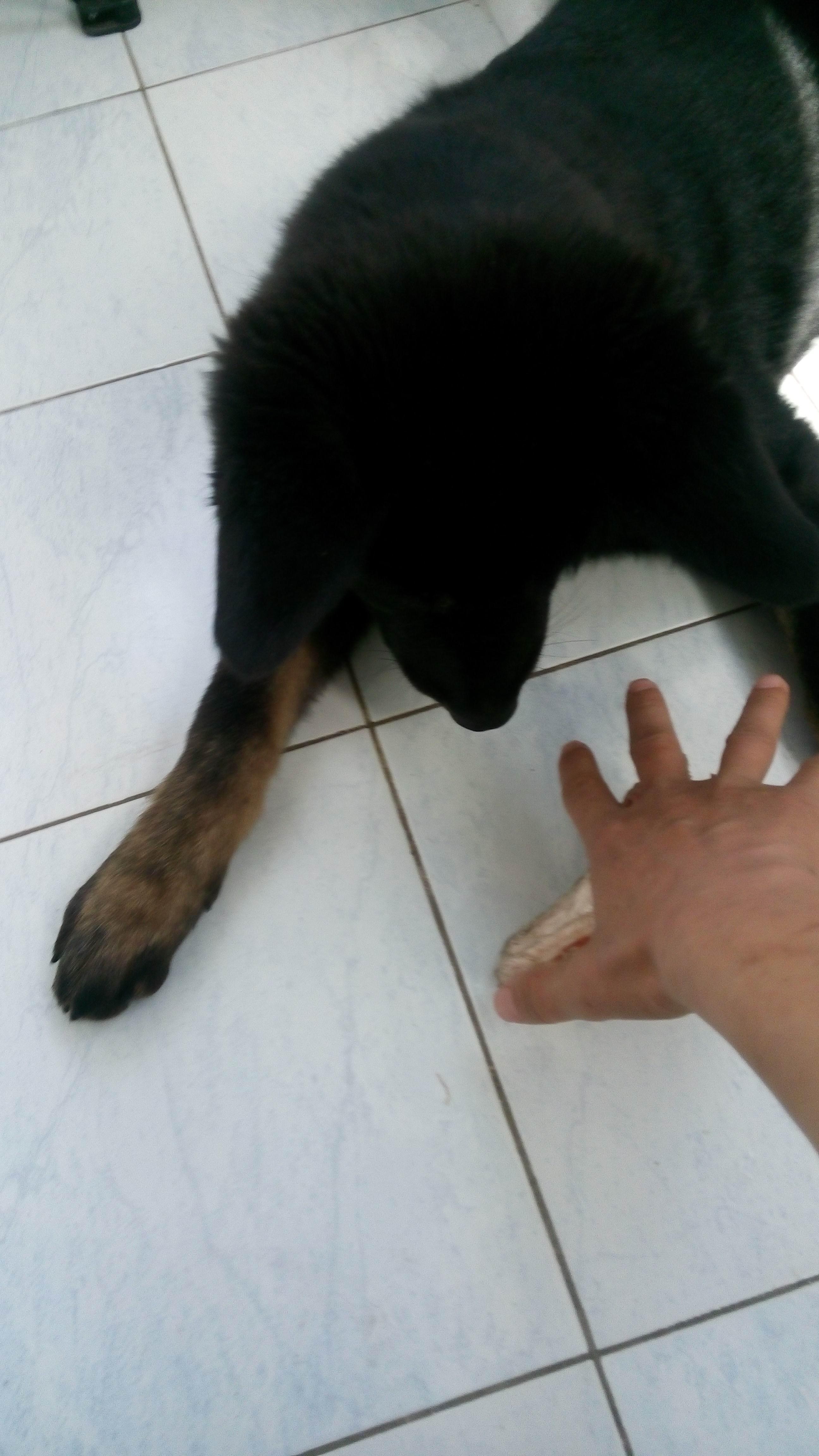 zhimg.com/abb0909fca2f0caef27cc1f4434099e5_b.