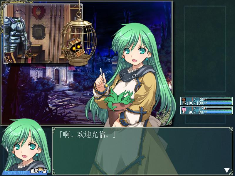 如何评价日本 alicesoft 的兰斯系列?