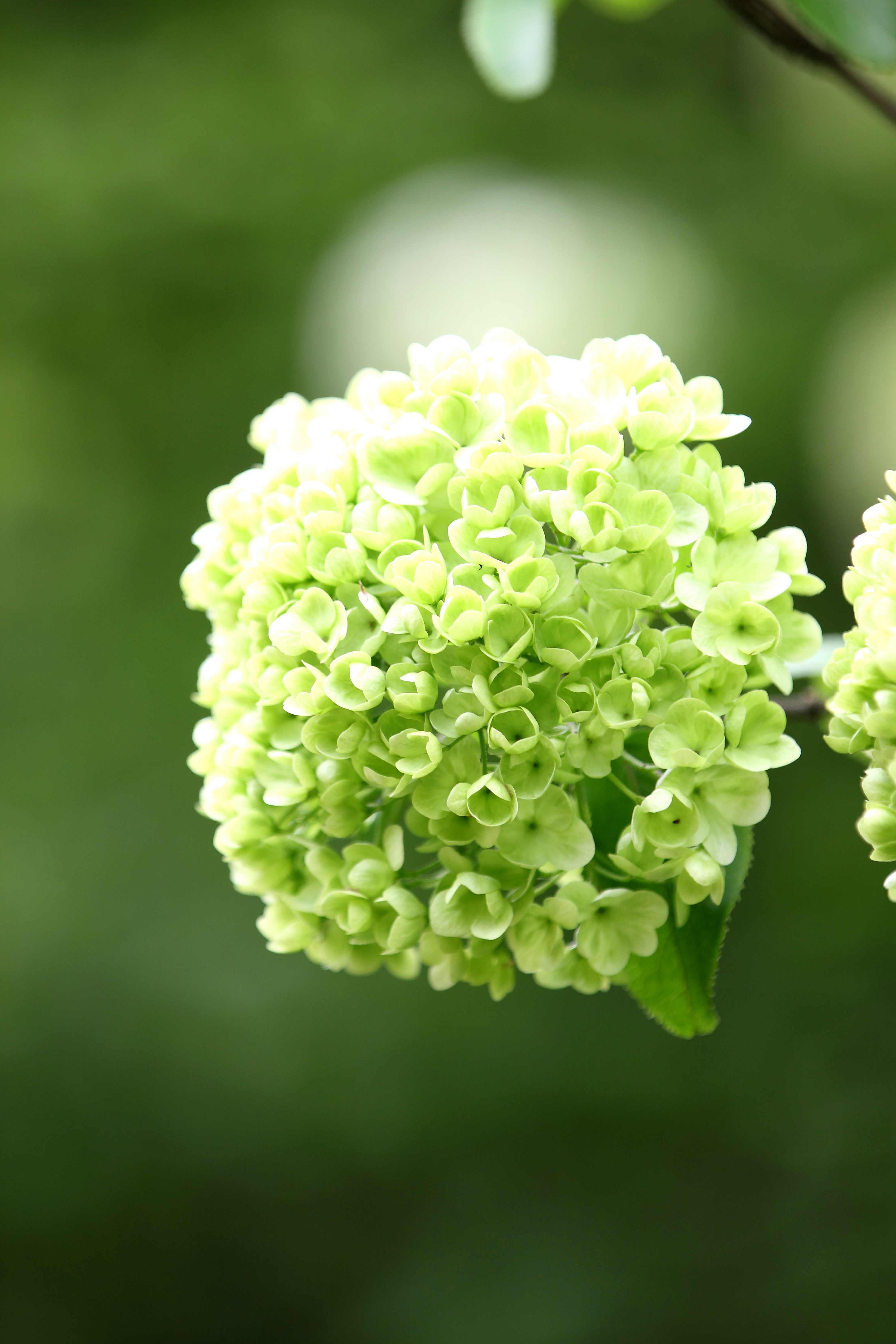 你所期待的春天是什么样子