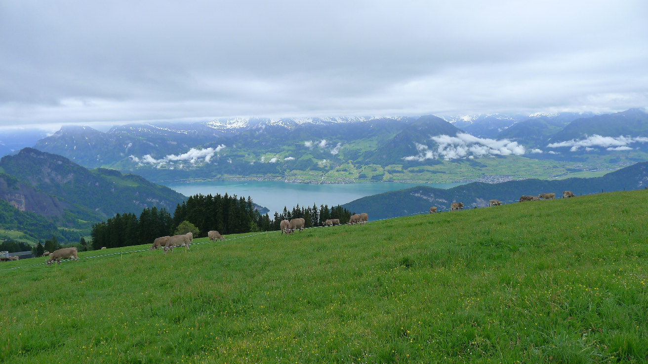 第一次去欧洲旅行是什么样的感受和体验? - V