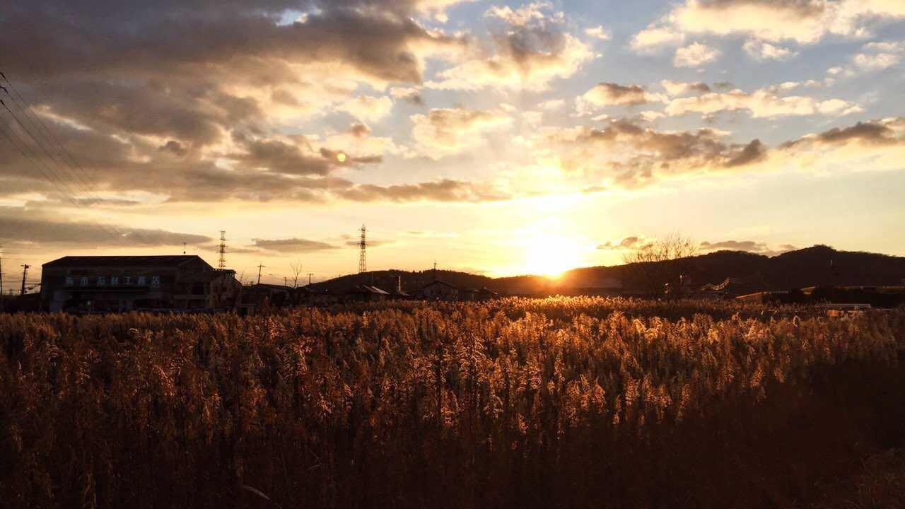 在日本冈山生活是怎样的感受? - 居然的回答