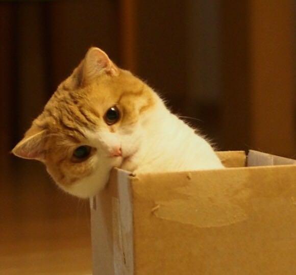 如何看待关于 2011 年《非你莫属》节目中的「