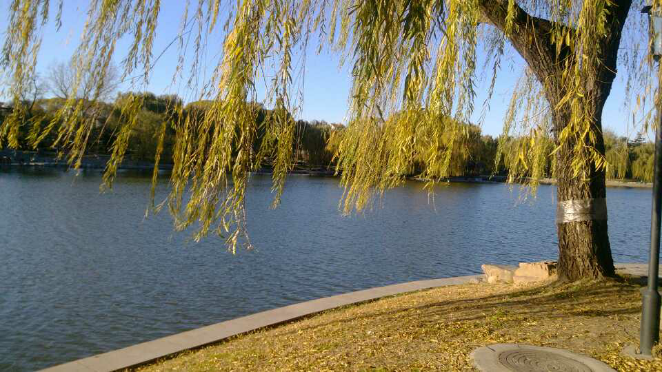 北京哪里可以感受到「故都的秋」里面的氛围?