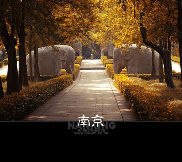 要去南京一日游，南京哪些地方值得一看呢？