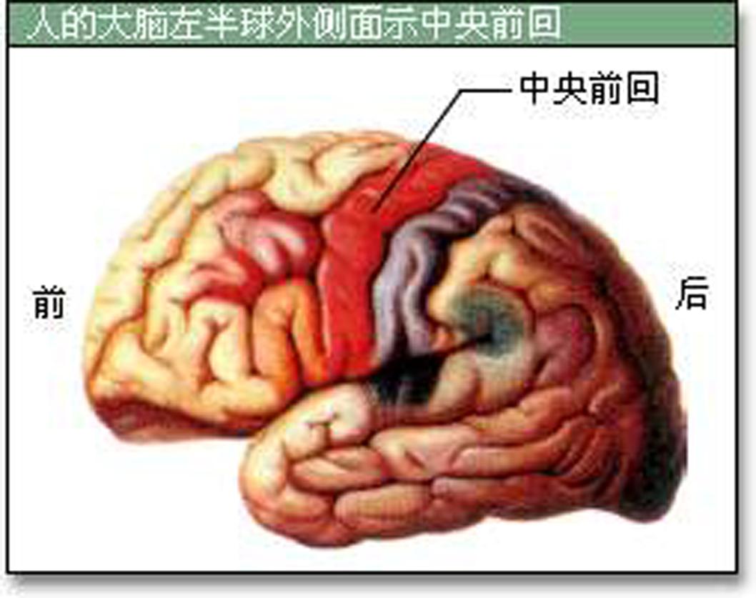 孩子的体态问题 - 知乎