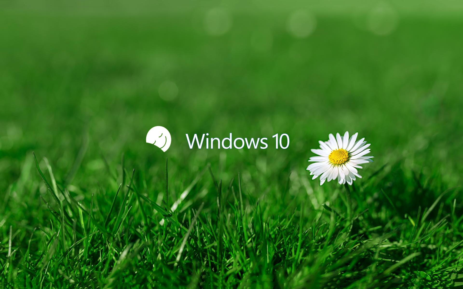 有哪些带win10字样的壁纸