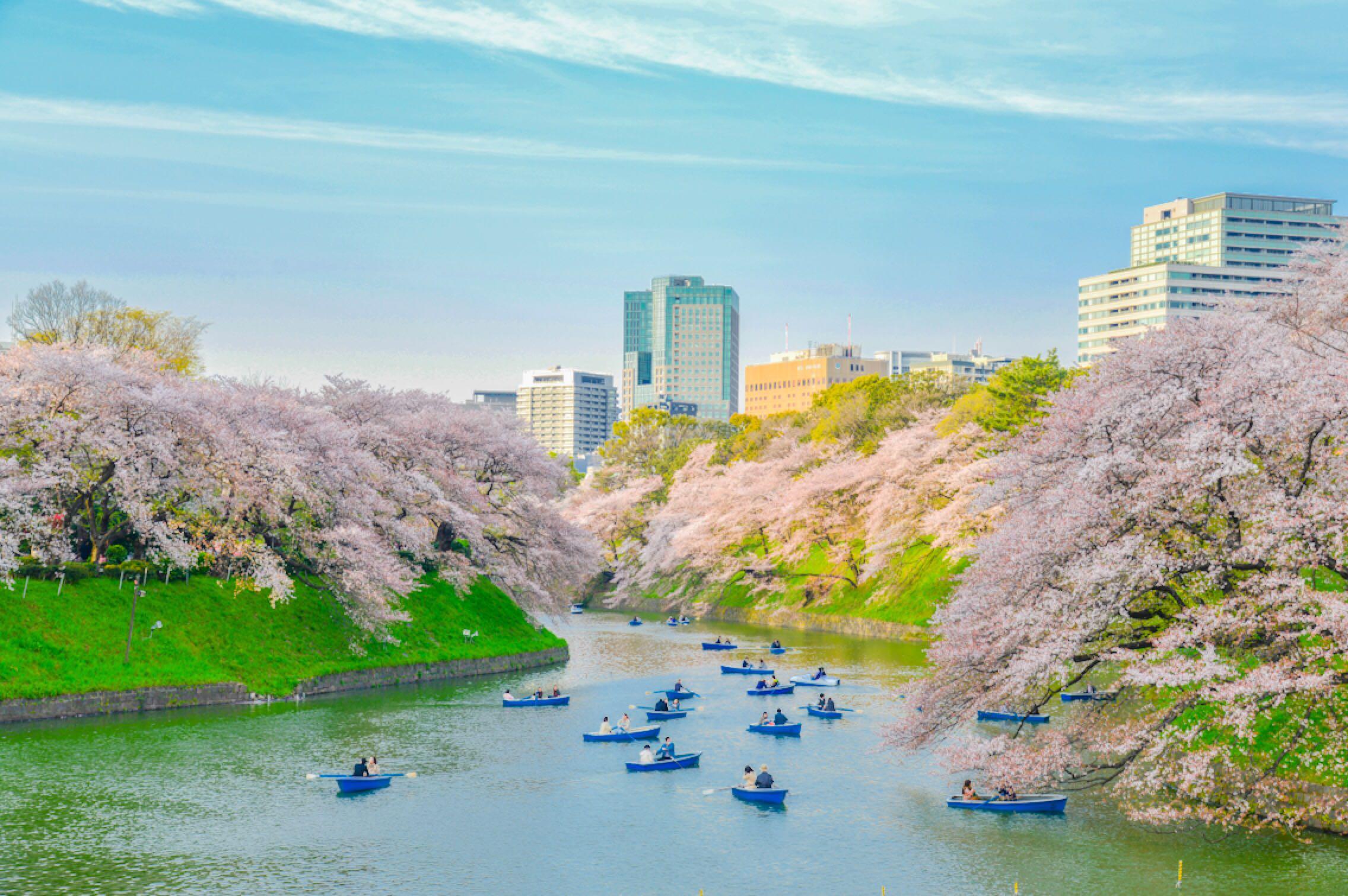 美丽日本风景图片素材-编号26226243-图行天下
