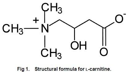 左旋抗坏血酸分子式图片