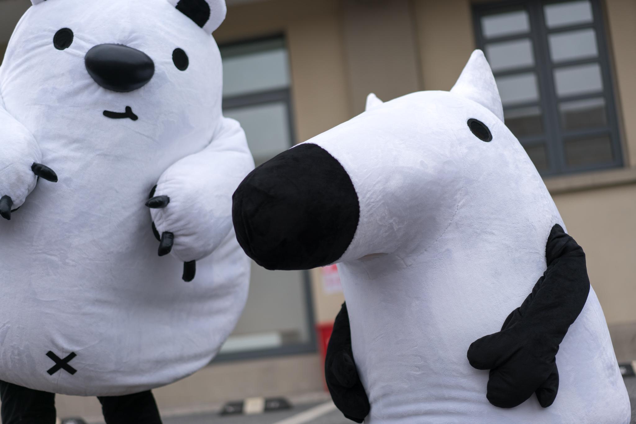 刘看山逛「知乎盐 club」后记:一次收获确信的旅程