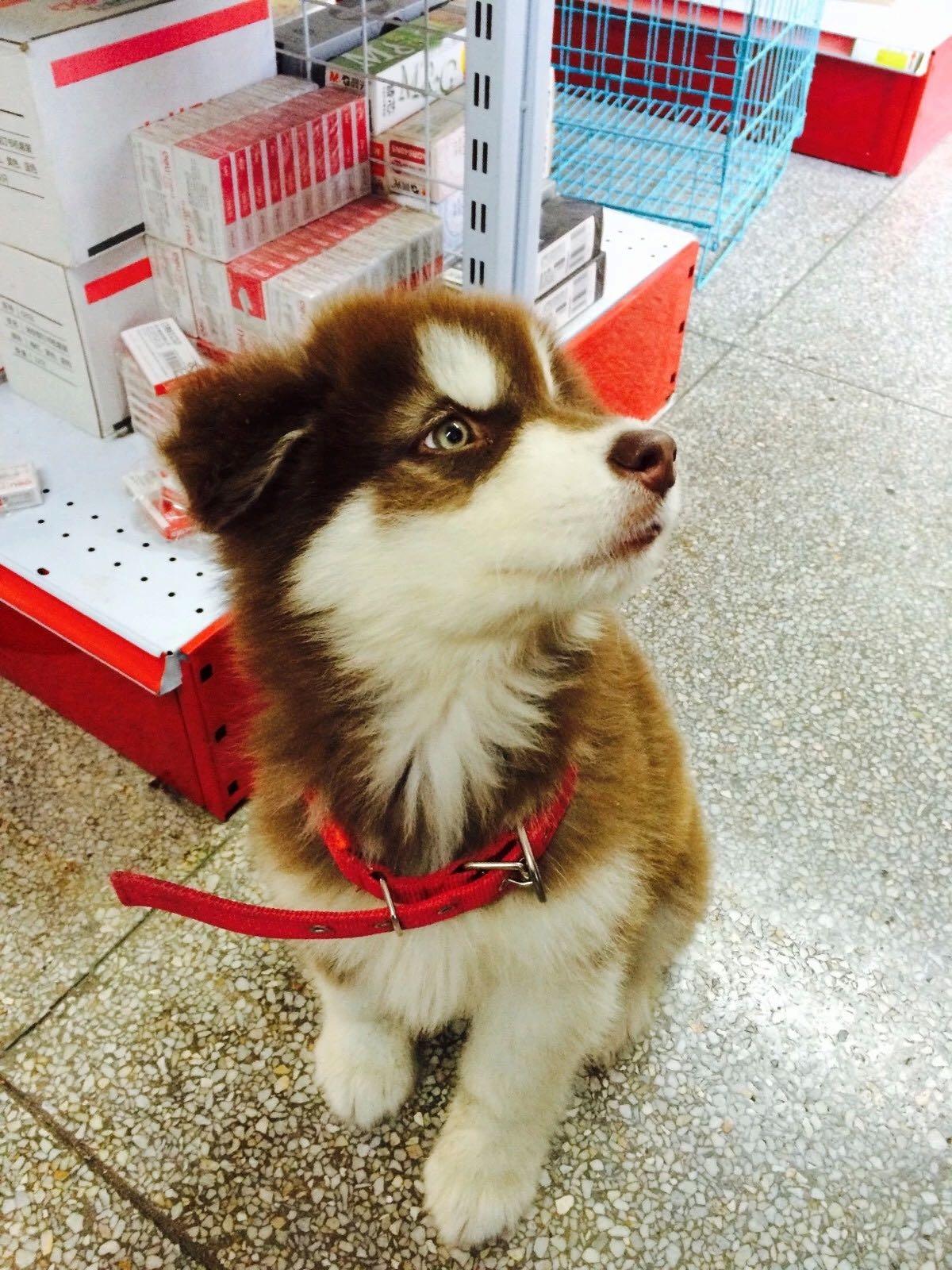 舍友把我最喜欢的歌单曲循环快五天了,有点厌