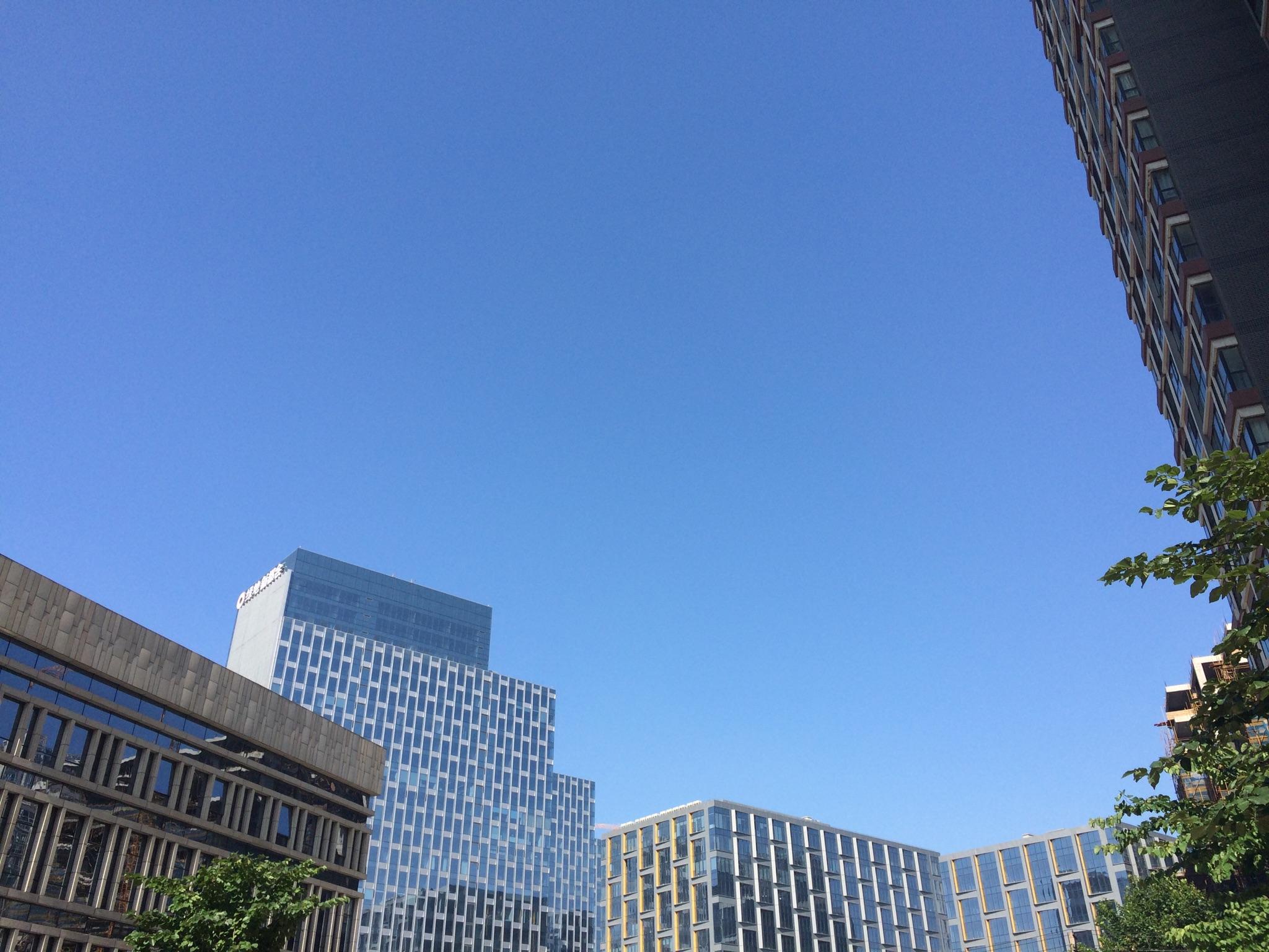 新手,想买个相机可是不会技巧,像我这样的是不