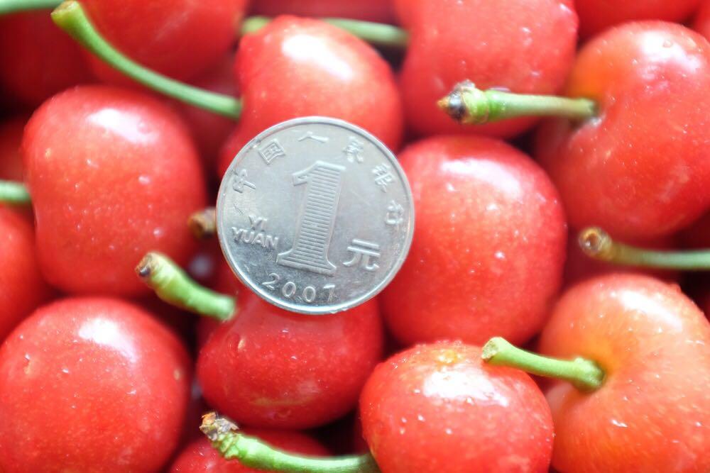 国内哪里产的樱桃最好吃?