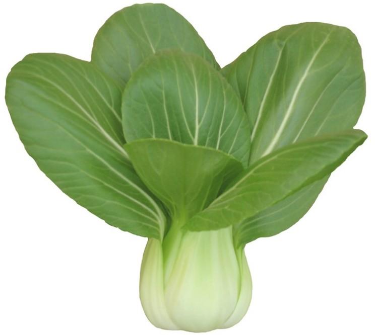 南方人到北方读大学是一种什么体验? - 可可羊