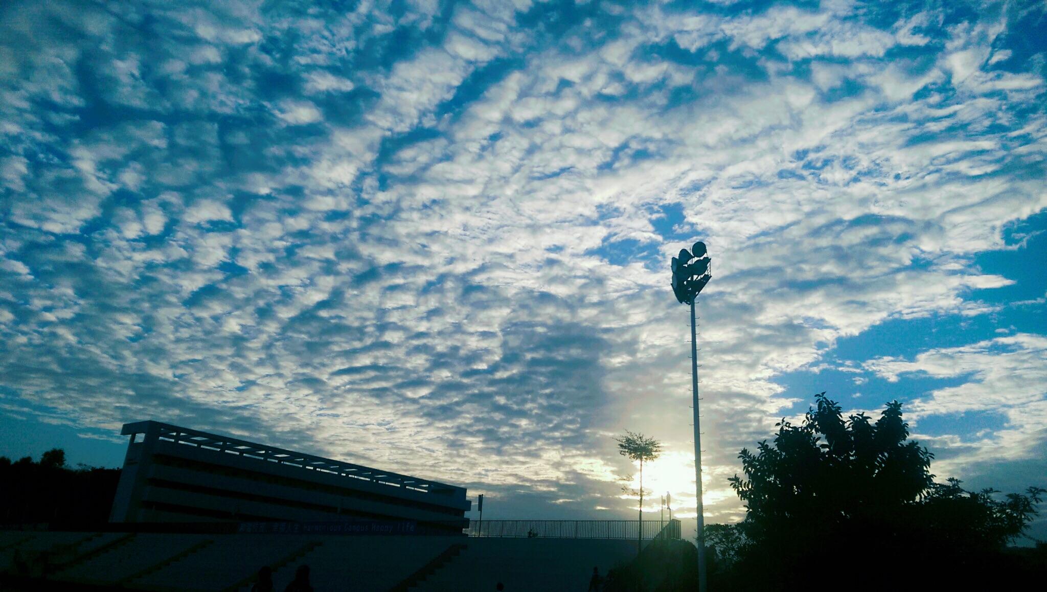 在深圳第二外国语学校读书是一种怎样的体验?