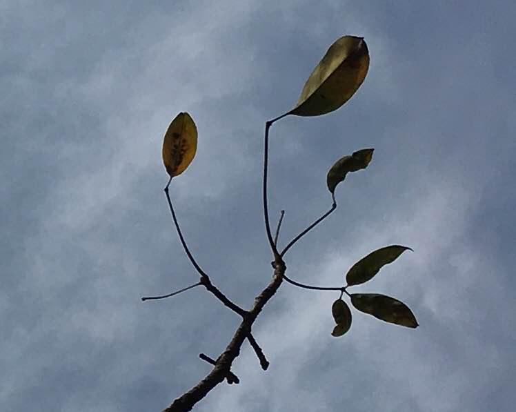 已经复读过一年的17年要参加第三次北京电影