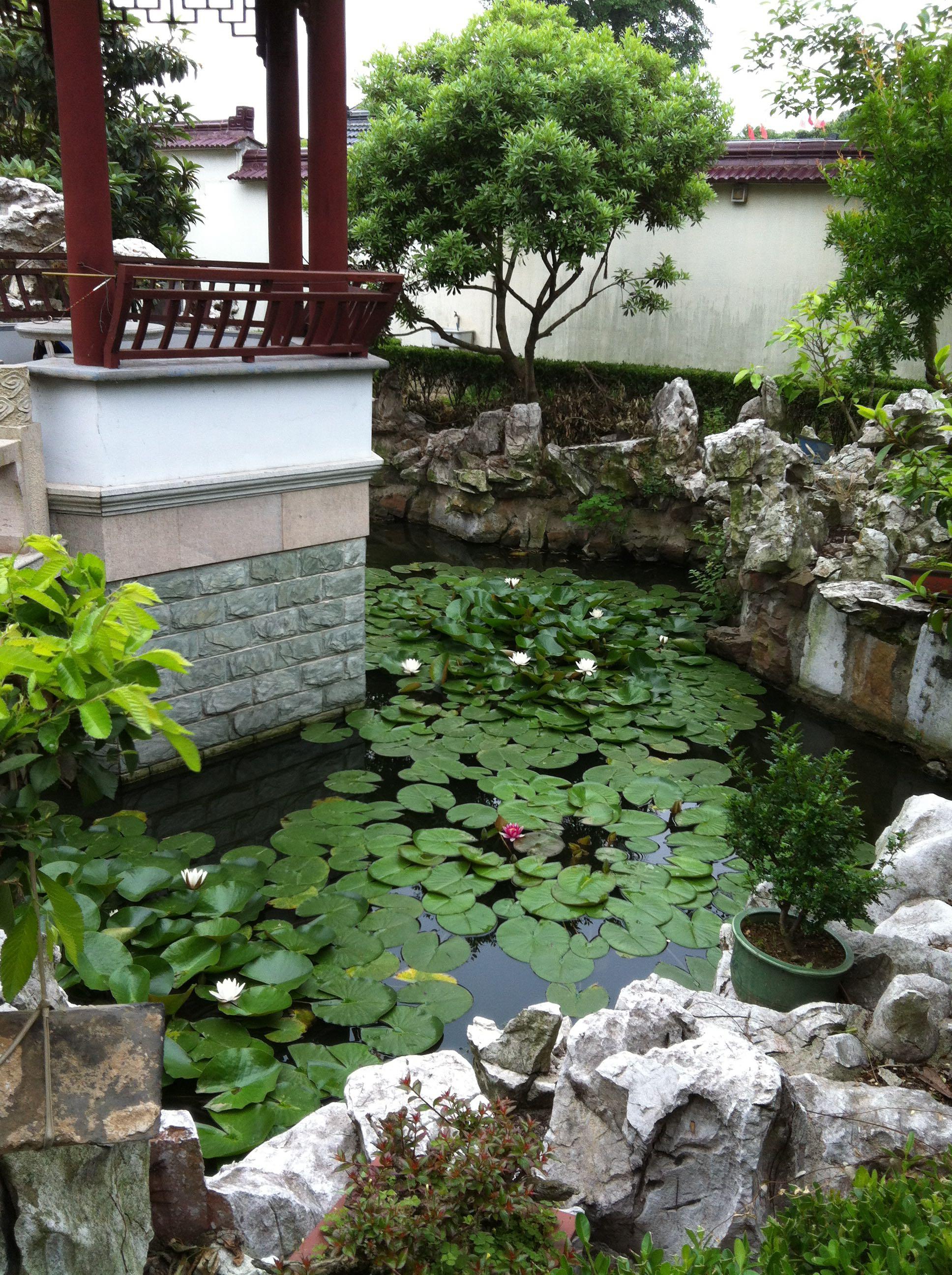 家里有院子是怎样的一种体验?