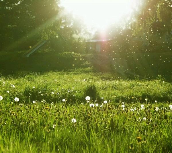 如何评价《邓布利多与格林德沃通信集》?